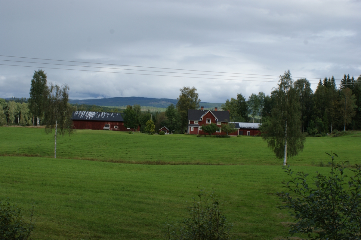 Fastighet