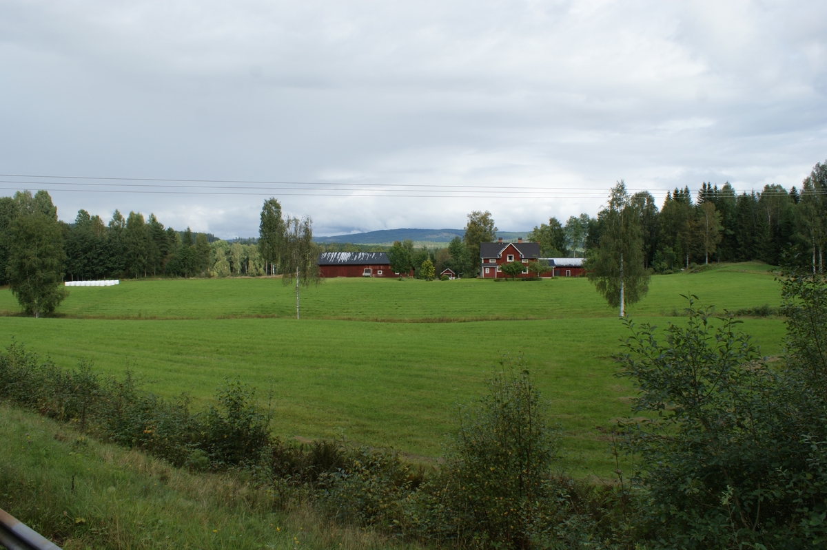 Fastighet