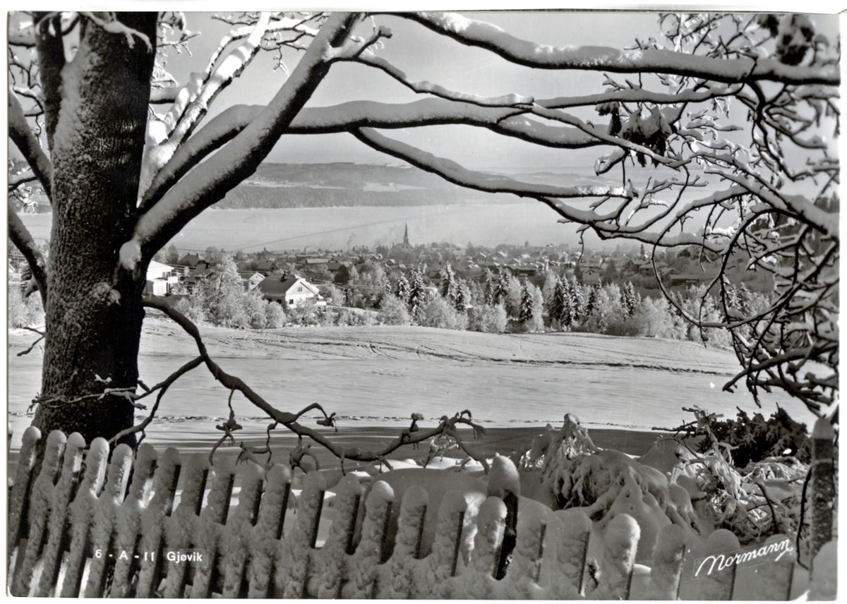 Vinterbilde av Gjøvik med Mjøsa -Mjøsmuseet / DigitaltMuseum