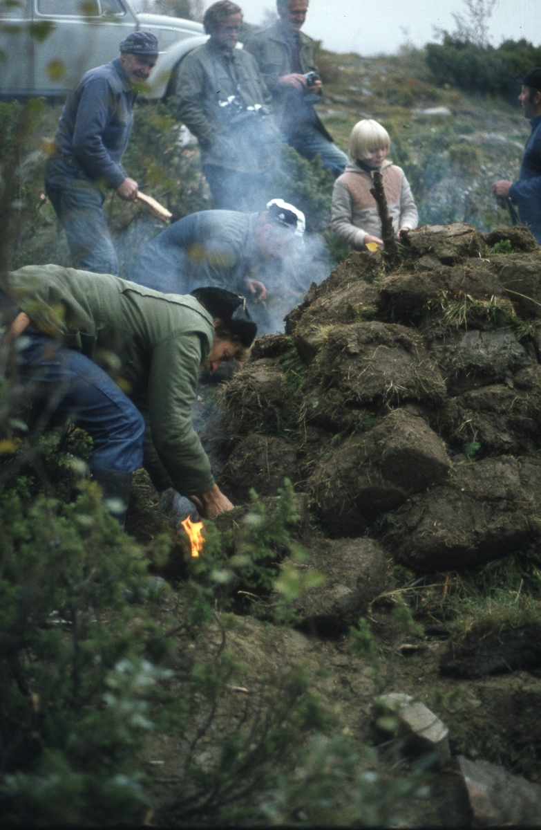 Tjurrumile Vingelen 1981