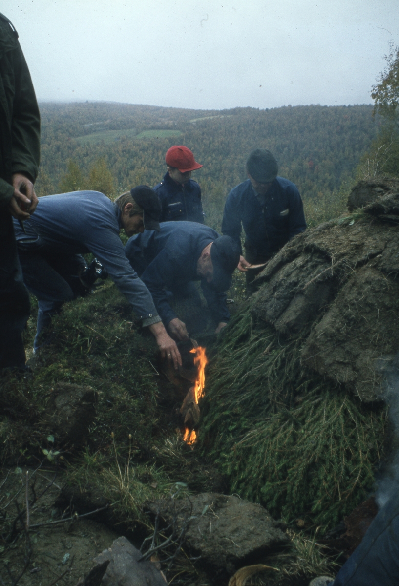 Tjurrumile Vingelen 1981