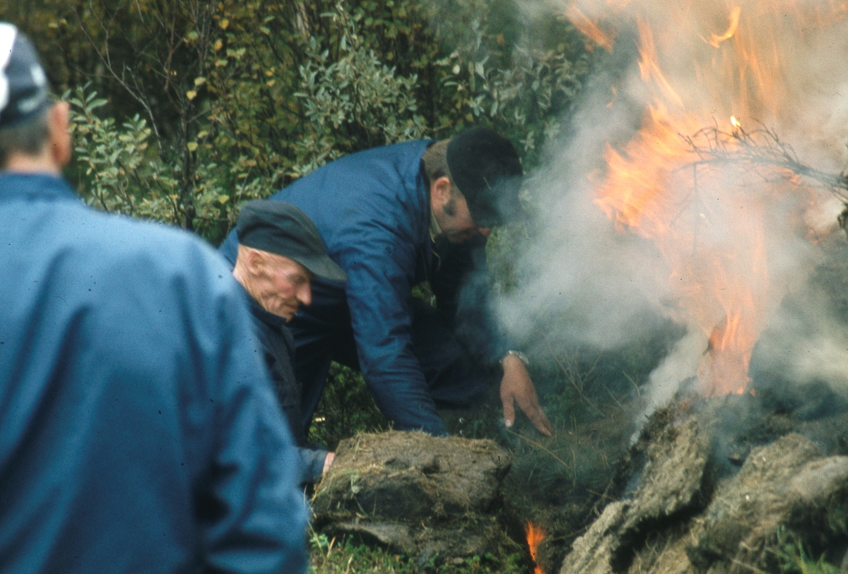 Tjurrumile Vingelen 1981