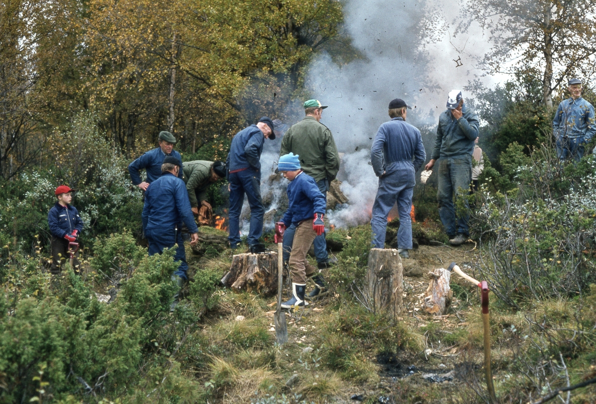 Tjurrumile Vingelen 1981