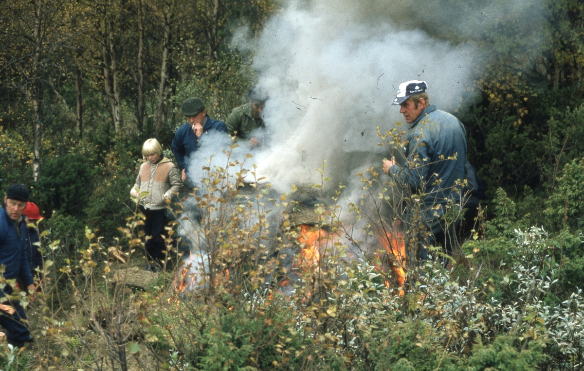 Tjurrumile Vingelen 1981