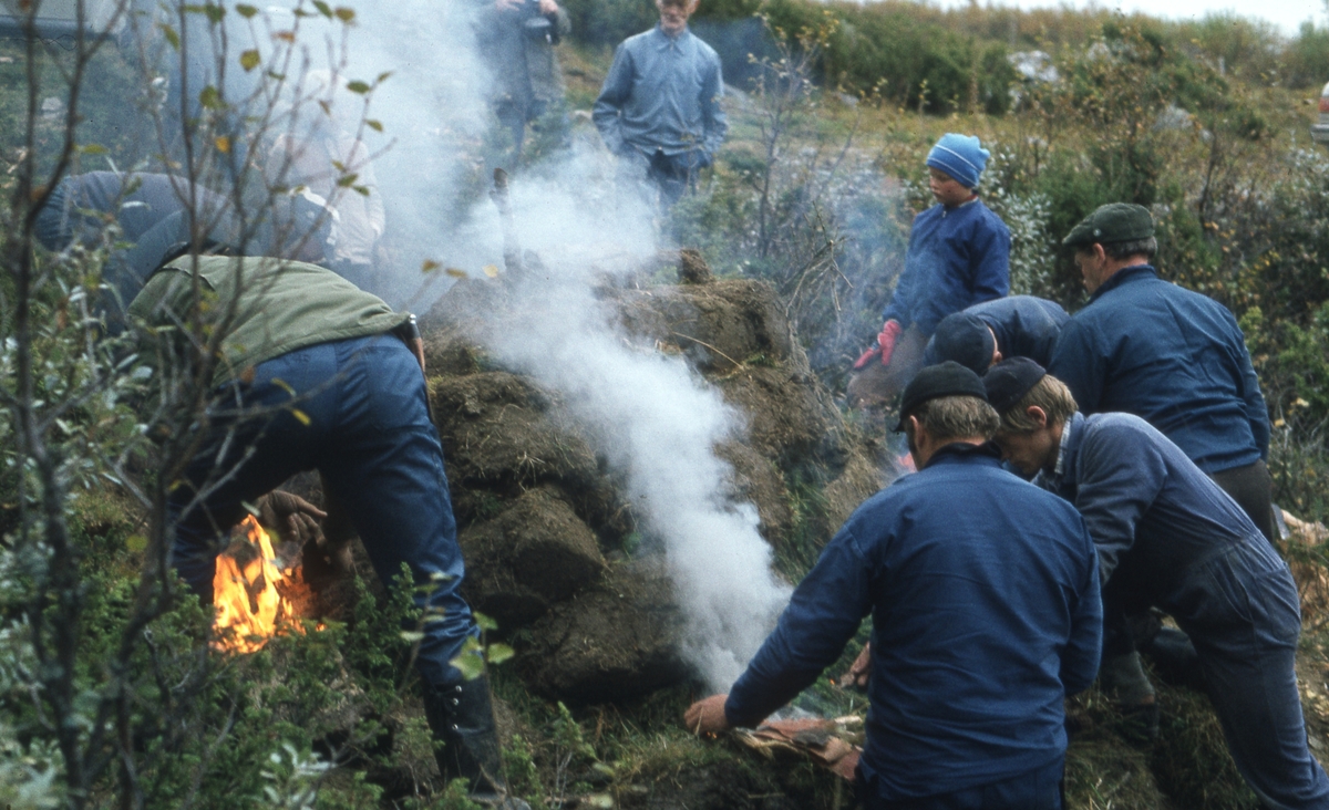 Tjurrumile Vingelen 1981