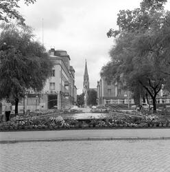 Björndammen mot Skara domkyrka