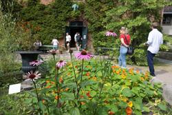Urtehagen på Norsk Farmasihistorisk Museum.