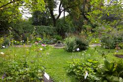 Urtehagen på Norsk Farmasihistorisk Museum.