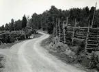 Landsvägen mellan Drageryd och Blankebro med gärdesgårdar byggda i låga stenmurar.