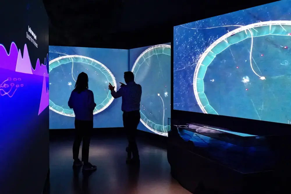 To personer diskuterer opplysningene vist i utstillingen