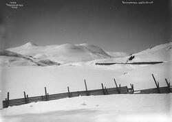 Prot: Mellem Hallingsskeid og Grotrust
Neg: Bergensbanen ved