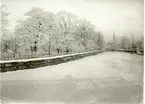 Västerås.
Svartån mot norr från Järnvägsbron, c:a 1900.