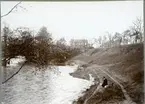 Västerås.
Svartån mot norr, troligen från Skarpskyttebron, 1903.