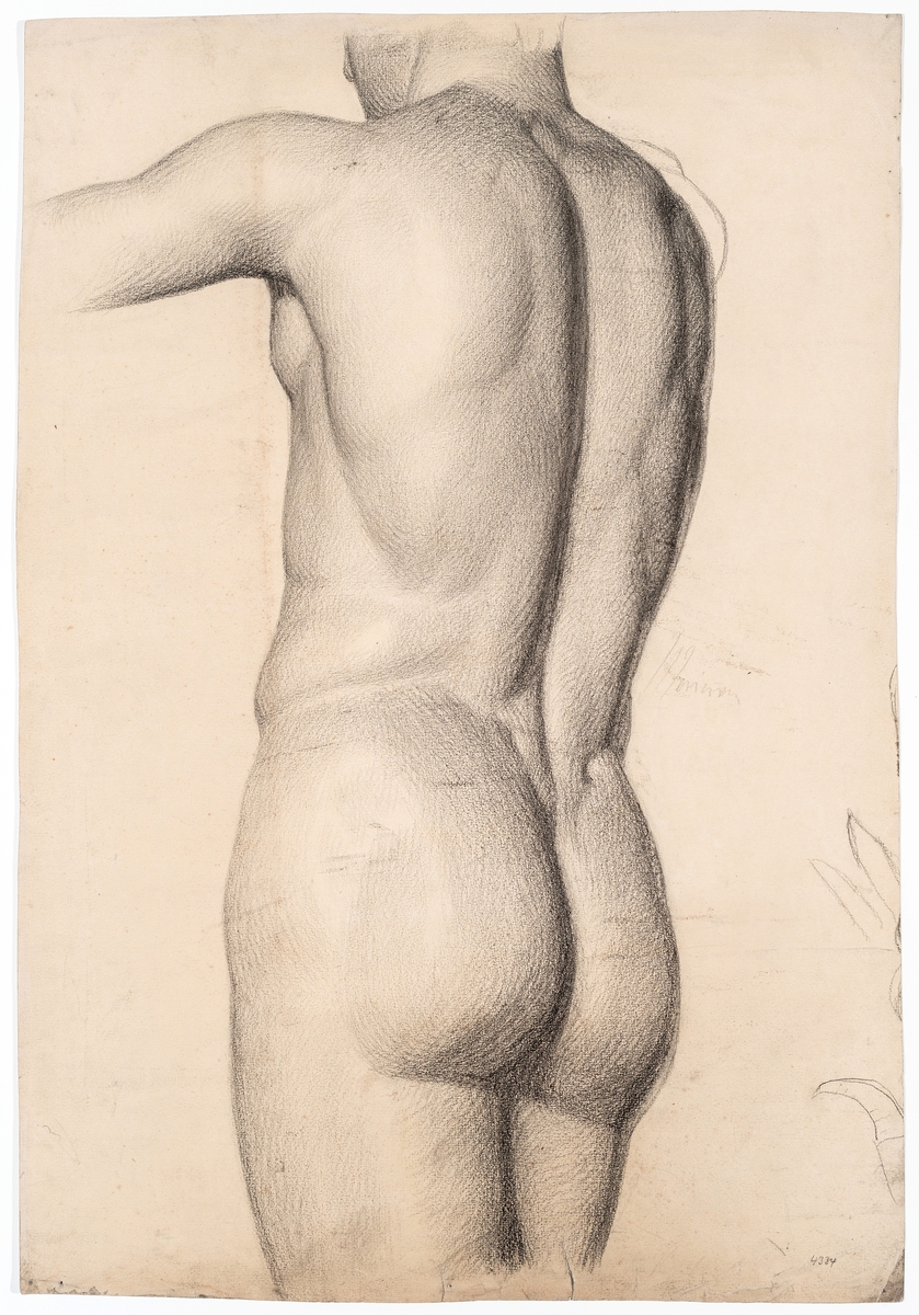 Mannsakt sett bakfra med lett vridning mot venstre. Beina er avskjært fra midten av lårene og hodet er avskjært fra oversiden av nakken. Høyre arm er utstrekt og avskjert ved albuen.