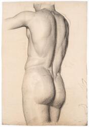 Mannsakt [Kulltegning]