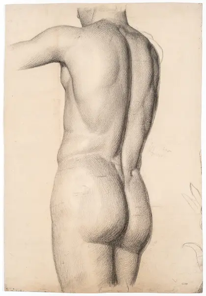 Mannsakt [Kulltegning]