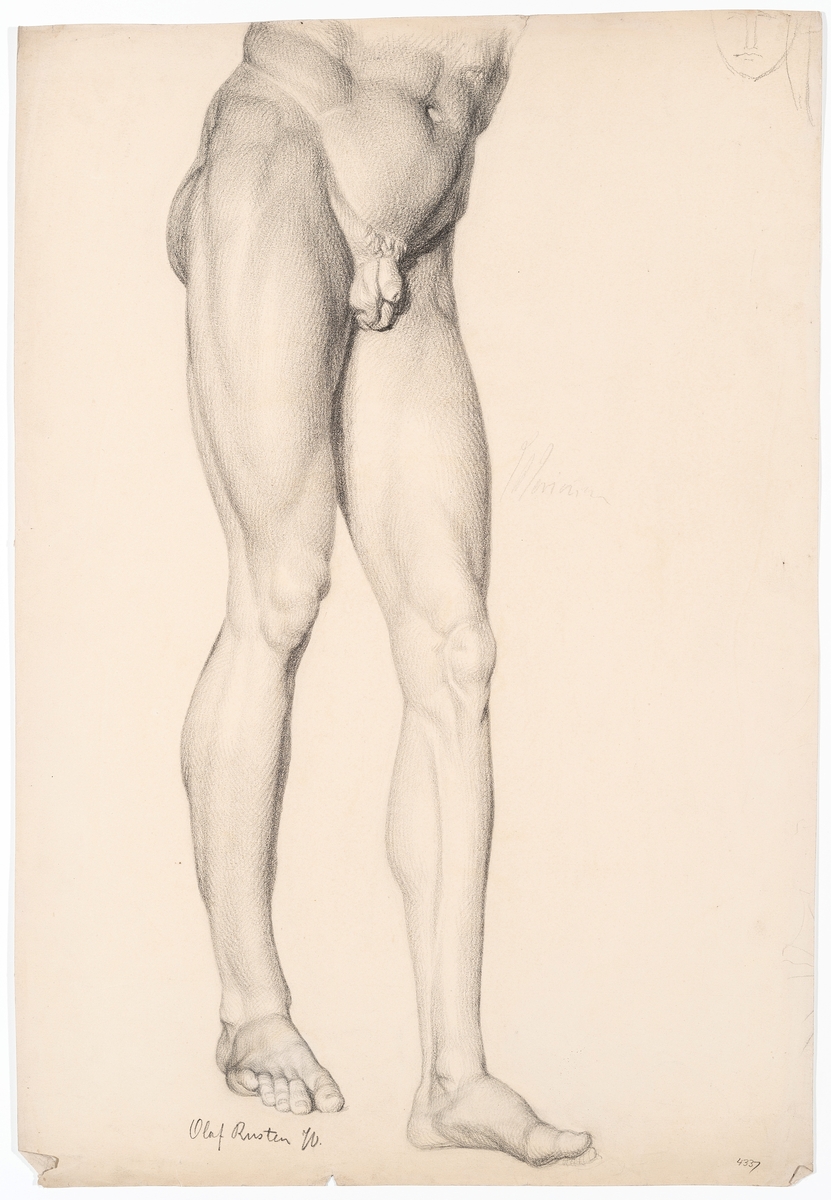 Mage og bein [Tegning]