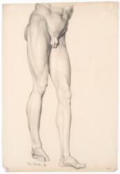 Mage og bein [Tegning]