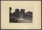 Bilden visar huvudingången till slottsruinen Berry Pomeroy Castle nära Dartmouth i England. De två torn som skyddar porten är helt täckt med murgröna.