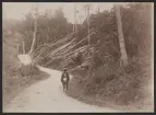 Bilden visar en man traditionella japanska kläder som står på en väg i skogen. Vid vägkanten ligger en större mängd avverkade träd.