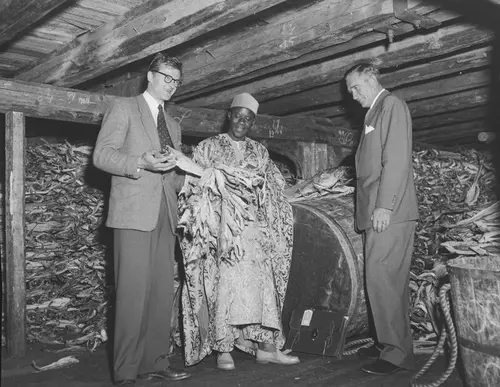 Dette er et gammelt arkivbilde som viser et rom i sjøbodene fylt av tørrfisk. Vi ser tørrfiskimportøren fra Nigeria sammen med to bergenske kjøpmenn. Bildet er hentet fra nyere KK samling ved UiB