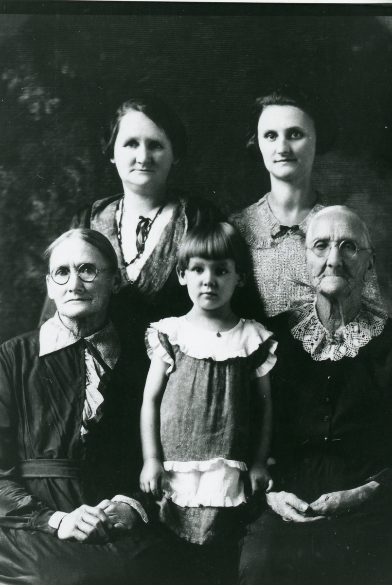 Potrett av frå h. Rangdi Ivarslien Steinsrud til v.dottera Olga og i mitten 5 generasjon.
Bak står mrs.Mytle og mrs Thompson.