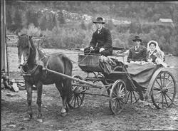 Brudefølge fra Åfjord