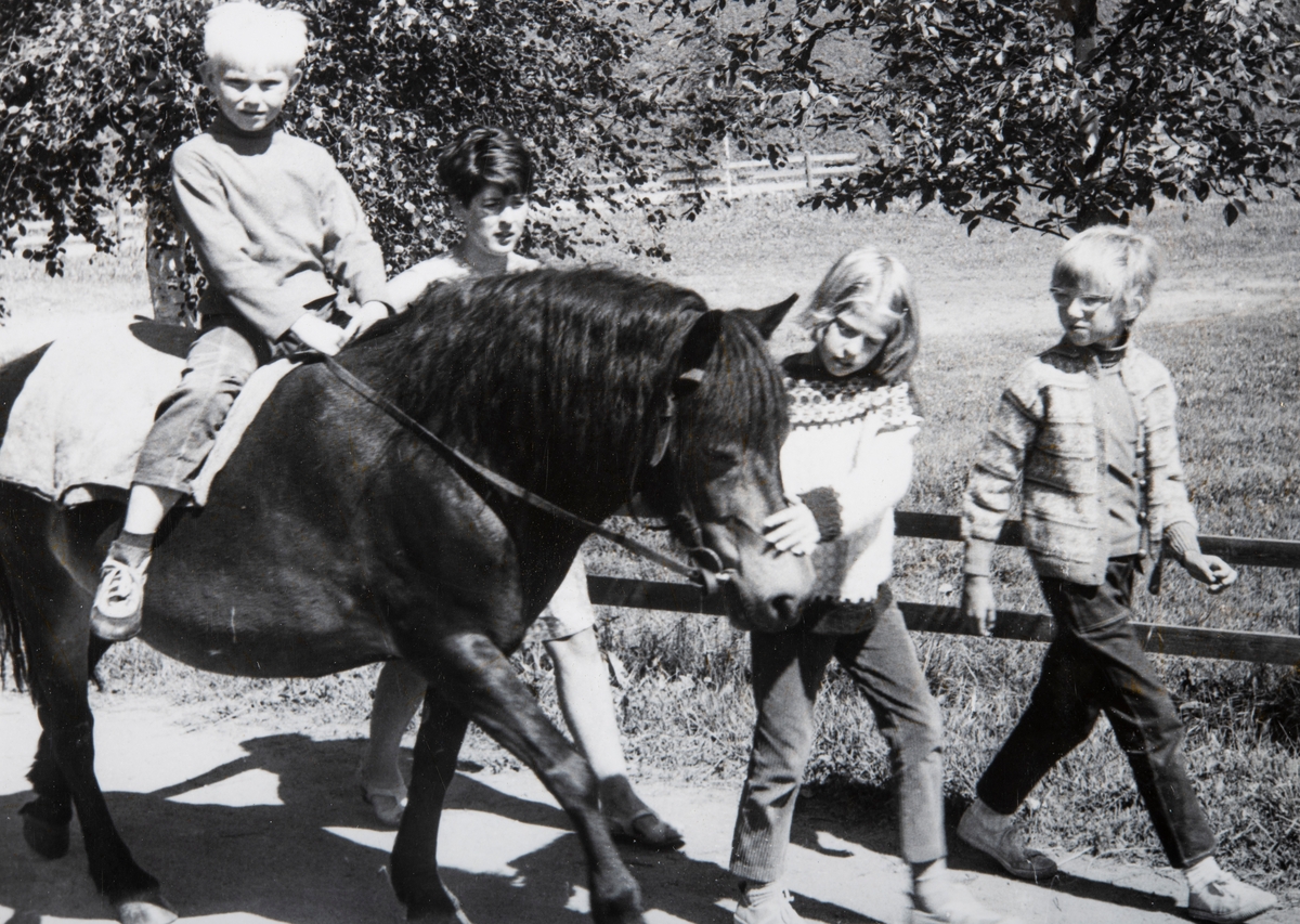Grylling barnepensjonat og sommerleir, Løten. Garden Grylling vestre, Nordbygda, Løten. 1950-tallet.
Hestene var alltid populære for barna på Grylling barnepensjonat og sommerleir.