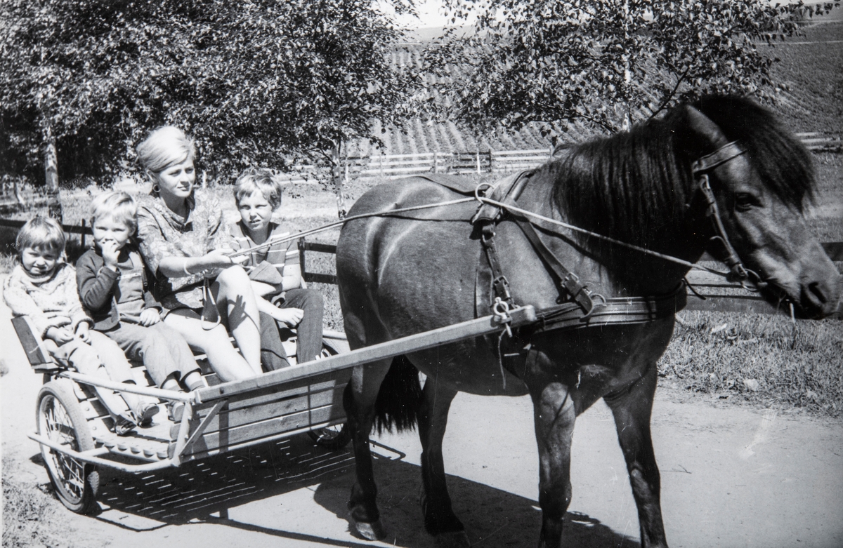 Grylling barnepensjonat og sommerleir, Løten. På tur med hest og vogn. Garden Grylling vestre, Nordbygda, Løten. 1950-tallet.
Hestene var alltid populære for barna på Grylling barnepensjonat og sommerleir.