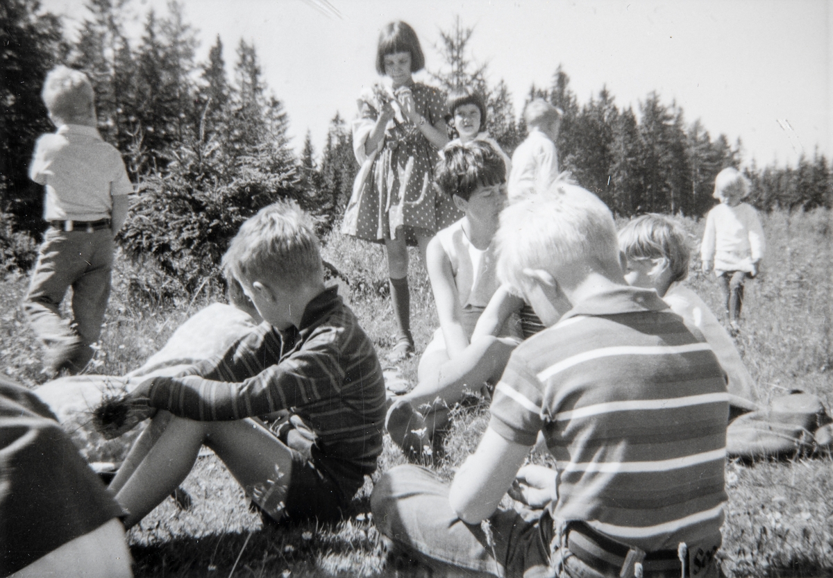 Grylling barnepensjonat og sommerleir, Løten. På tur til sommerfjøset i nærheten av garden Grylling vestre, Nordbygda, Løten. 1950-tallet. 
Grylling barnepensjonat og sommerleir.