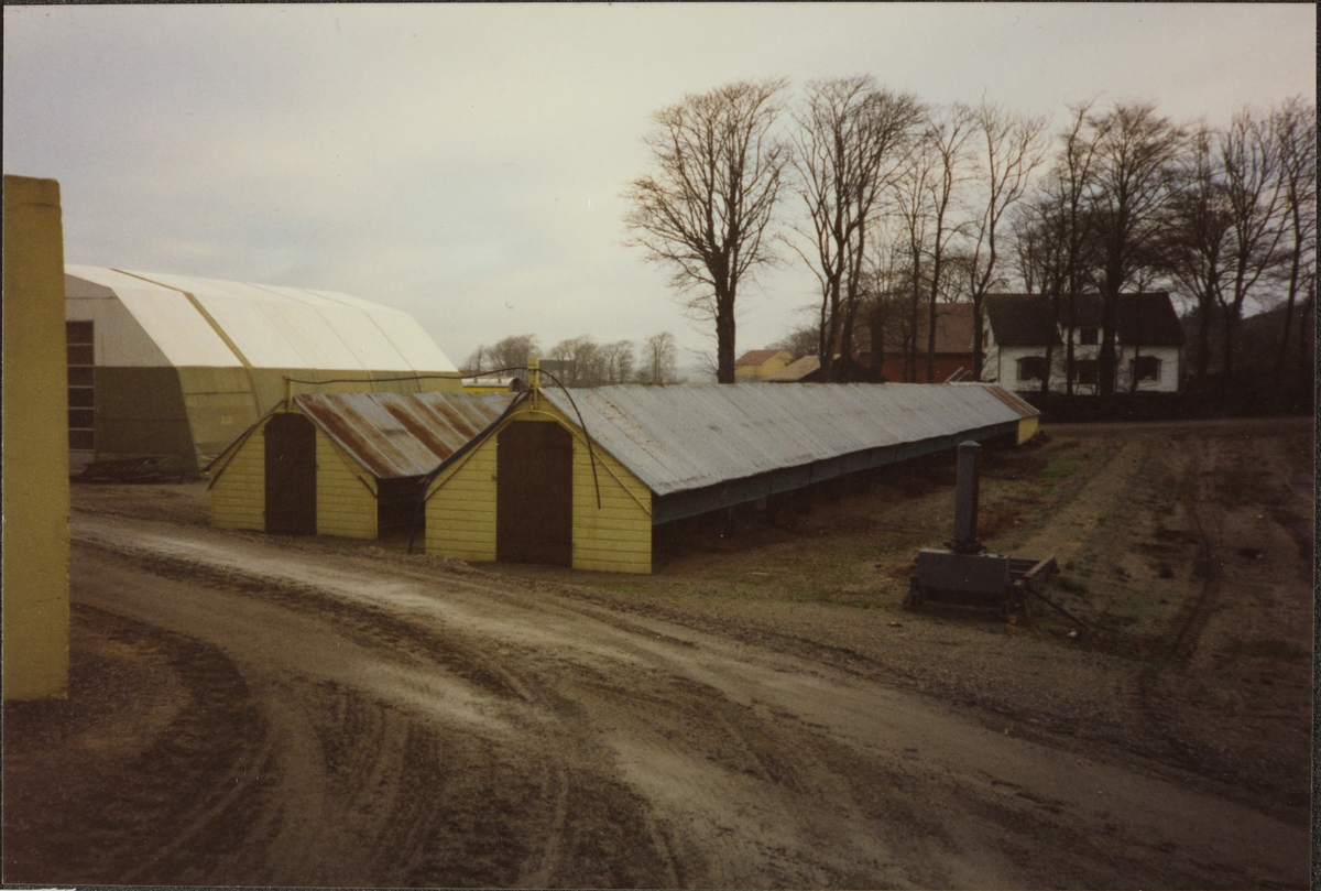 Bildet viser ein ny hall på pelsdyrgarden til Nils Egil Grude i 1998.