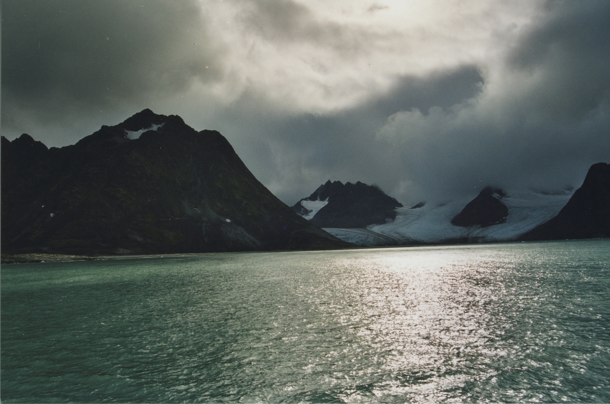 Isbree i fjorden.