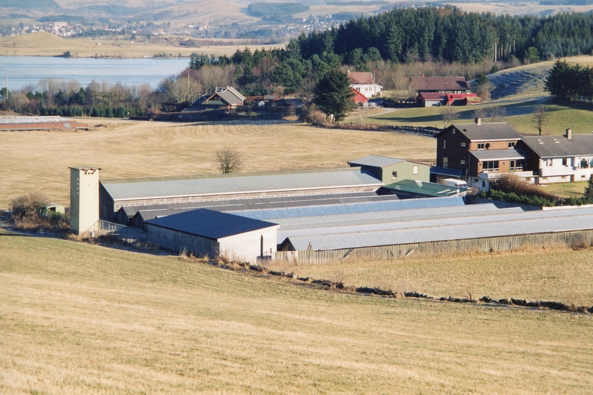 Gunnar Kåre Mæland sin pelsdyrfarm på Laland, Klepp stasjon.