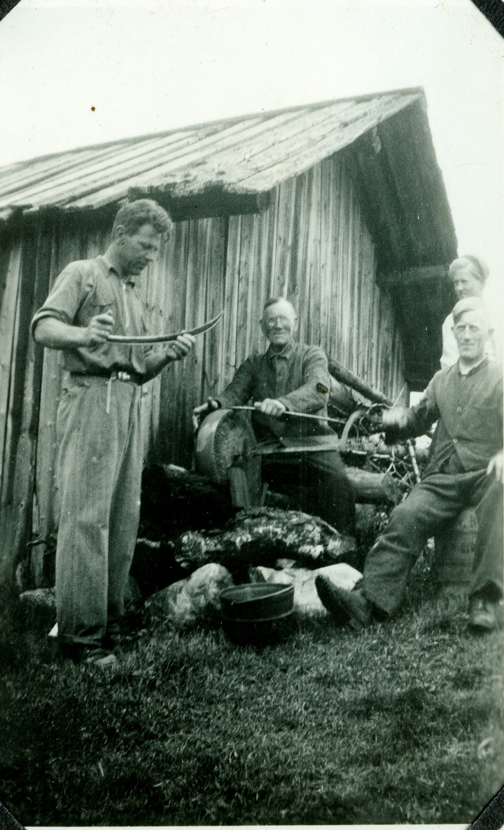 Sliping av ljåblad
Frå v.Kristian Langsø,Torstein Gutigard,Tolleiv Gutigard og Laura Gutigard.