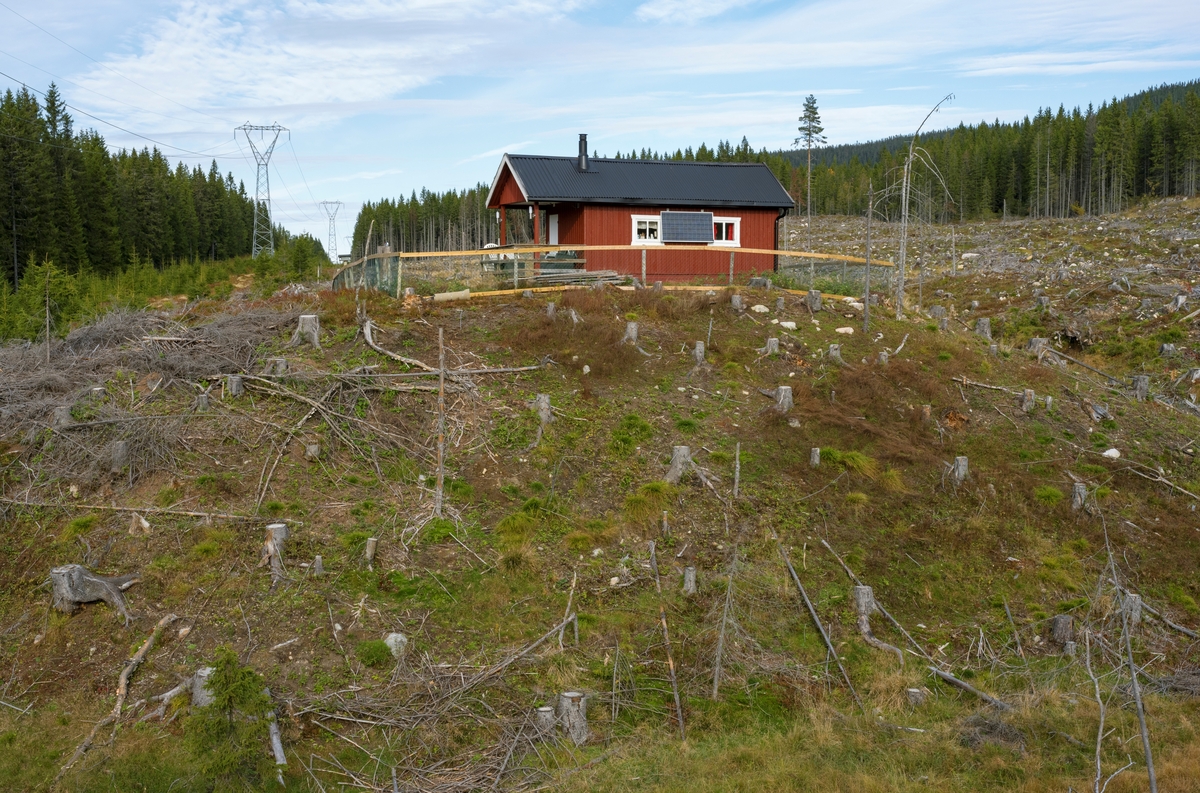 Hytte på hogstflate. Øst for Garsjøen, Totenåsen, Østre Toten, Innlandet.