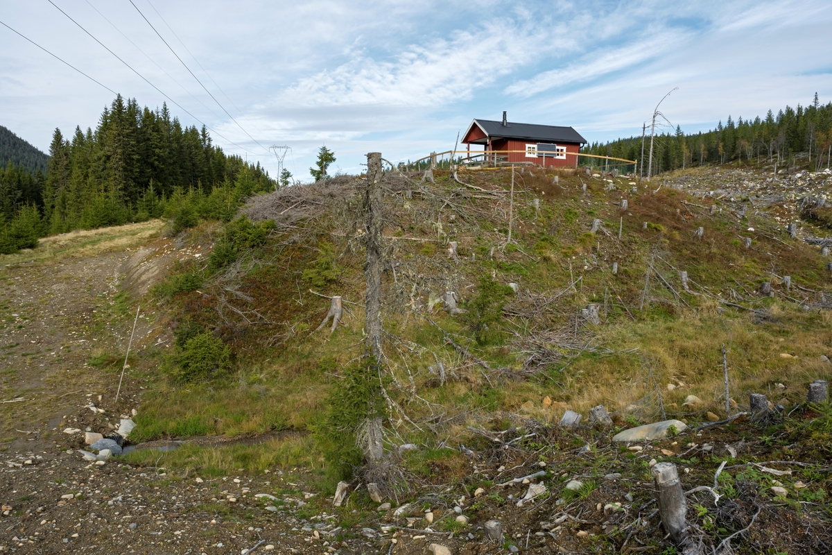 Hytte på hogstflate. Øst for Garsjøen, Totenåsen, Østre Toten, Innlandet.