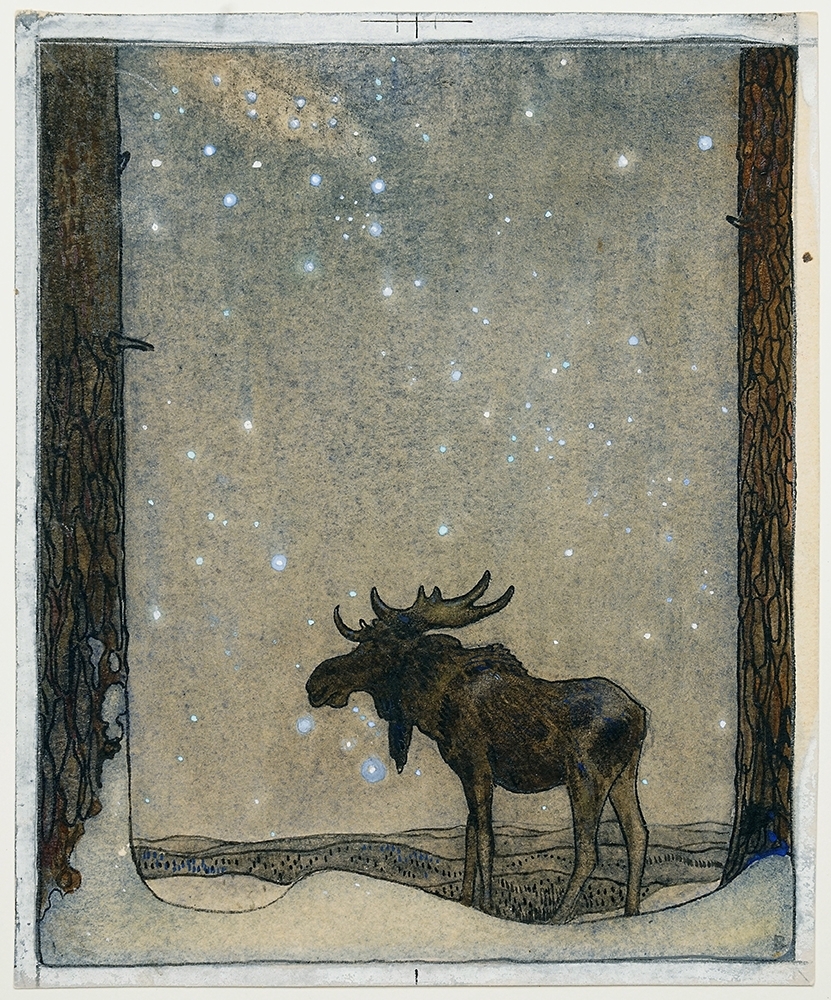 Älg under stjärnhimmel