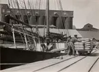 Lastning av cementsäckar i Slite hamn.