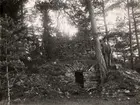 Vedeldad kalkugn för periodisk drift. Senast använd år 1893. Lokrume socken, Gotland.