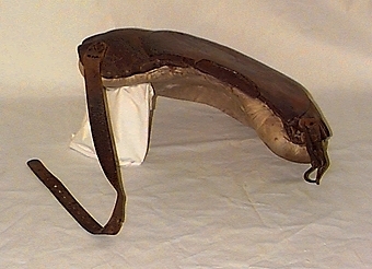 Axelputa