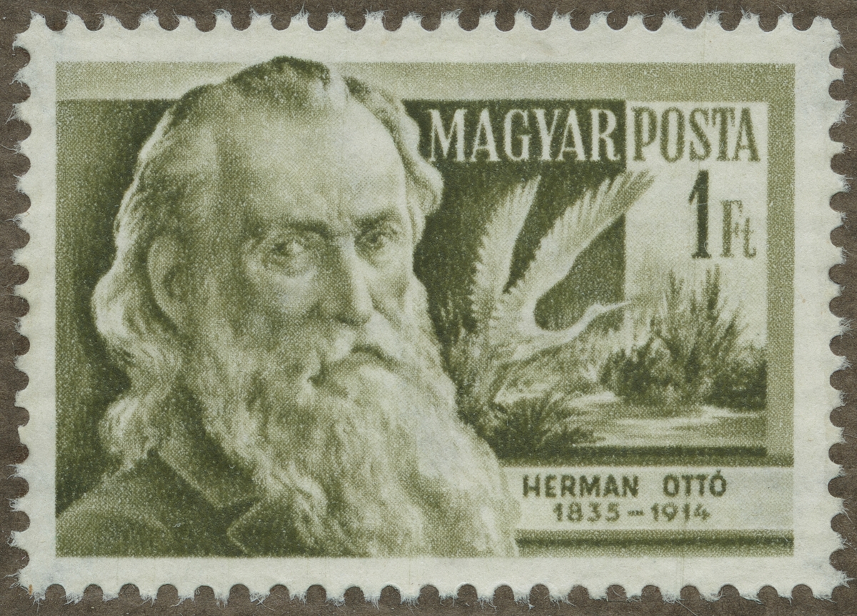 Frimärke ur Gösta Bodmans filatelistiska motivsamling, påbörjad 1950.
Frimärke från Ungern, 1954. Motiv av Ungraren Herman Otto 1835-1914 Zoolog