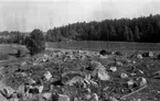 Svedvi sn Rallsta nära Kanthalverken Hallstahammar undersökt av Vlm / Sven Drakenberg 1946.

Anläggning 1.