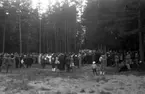 Sommarfest vid hembygdsgården.