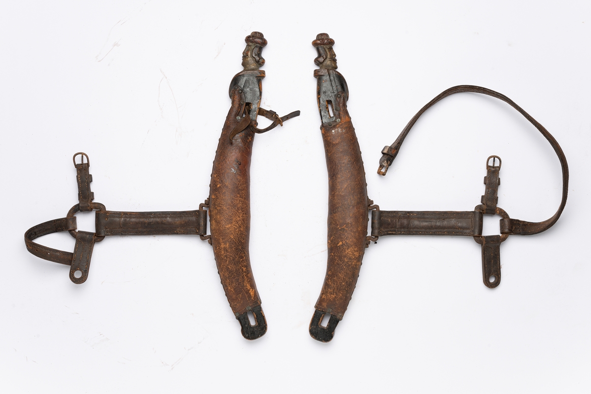 Akantusranker og mannshode