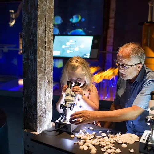 Bestefar og jente ser i mikroskop i utstillingene "Verden under vann"