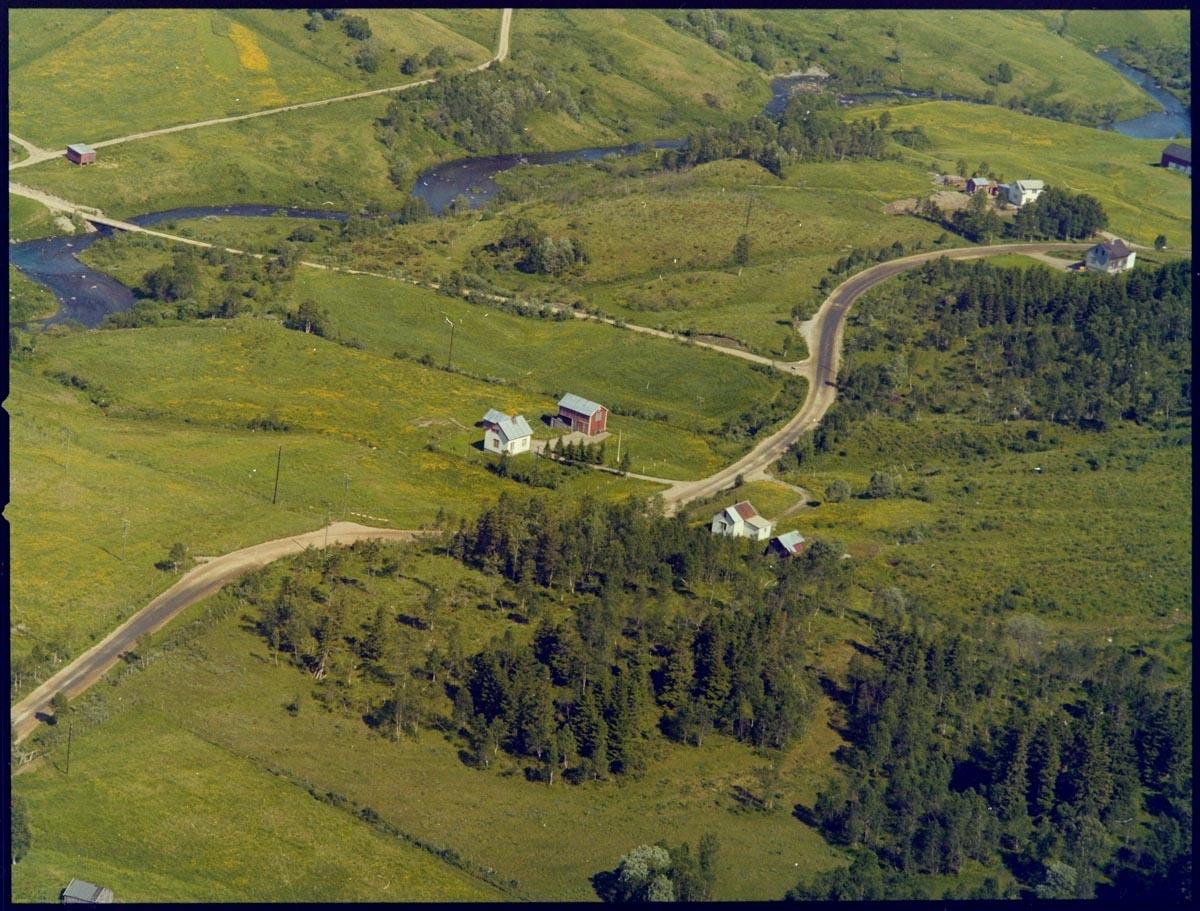 Leirfjord, Nyland. Flyfoto av noe av Nyland, og Forsland som ligger på den andre siden av elva. "Rabben" ligger bak, til høyre, i bildet. Midt i bildet ligger gården med navnet "Neri hålo" På den andre siden av veien for "Neri hålo" bodde Petra Zahl. Nylandselva renner nedenfor.