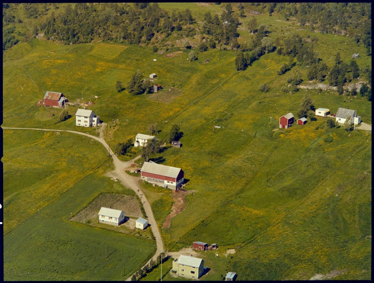 Leirfjord, Forsland. Flyfoto fra Forsland av ulike bolighus og gårder. På gården til høre i bildet bodde Gunnar Andersen og Kolny Andersen.