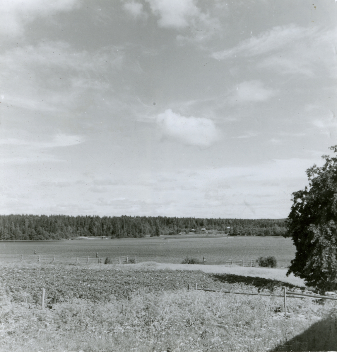 Längsterbosjön från sydväst.