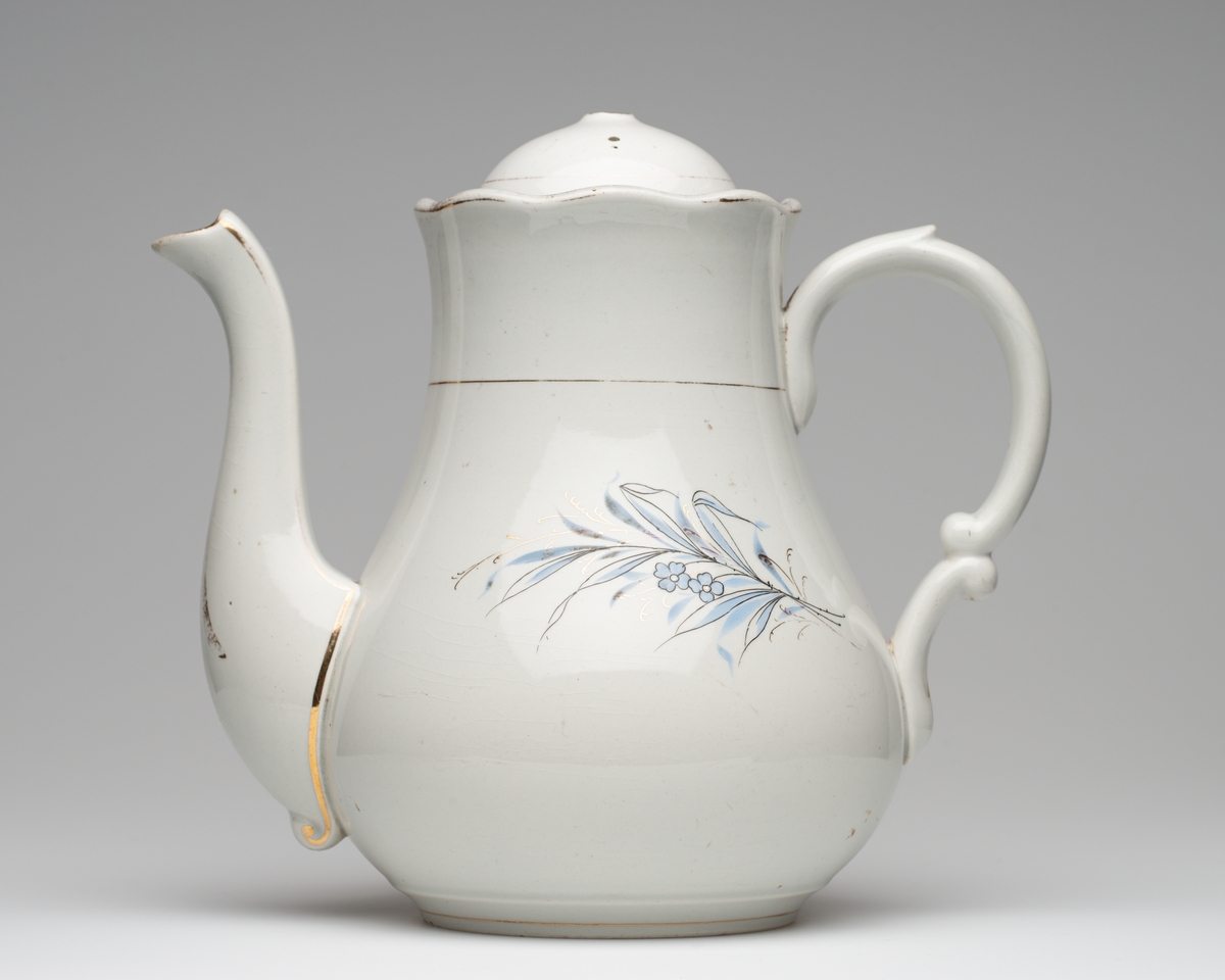 blå blomster på hver side av korpus