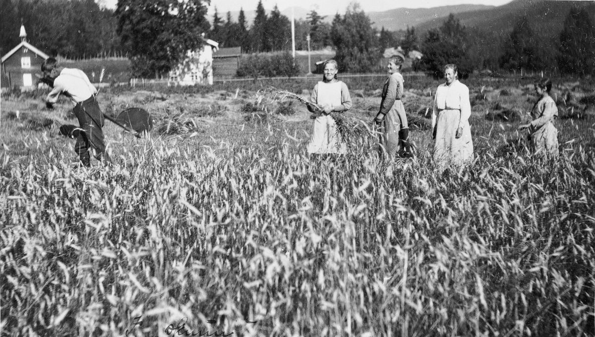 Skuronn på Øvre Kopseng i Eggedal, med gården synlig i bakgrunnen. Uten år eller navn. Trolig ca. 1920.